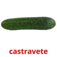 castravete picture flashcards