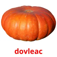 dovleac picture flashcards