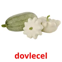 dovlecel picture flashcards