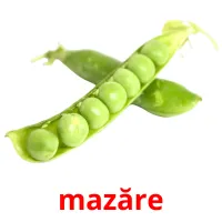 mazăre picture flashcards