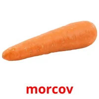 morcov picture flashcards