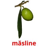 măsline picture flashcards