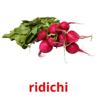 ridichi picture flashcards