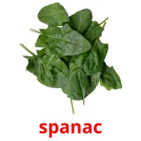 spanac picture flashcards