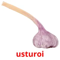 usturoi picture flashcards