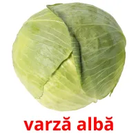 varză albă picture flashcards