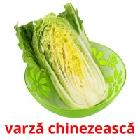 varză chinezească Bildkarteikarten