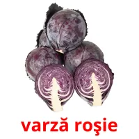 varză roşie picture flashcards