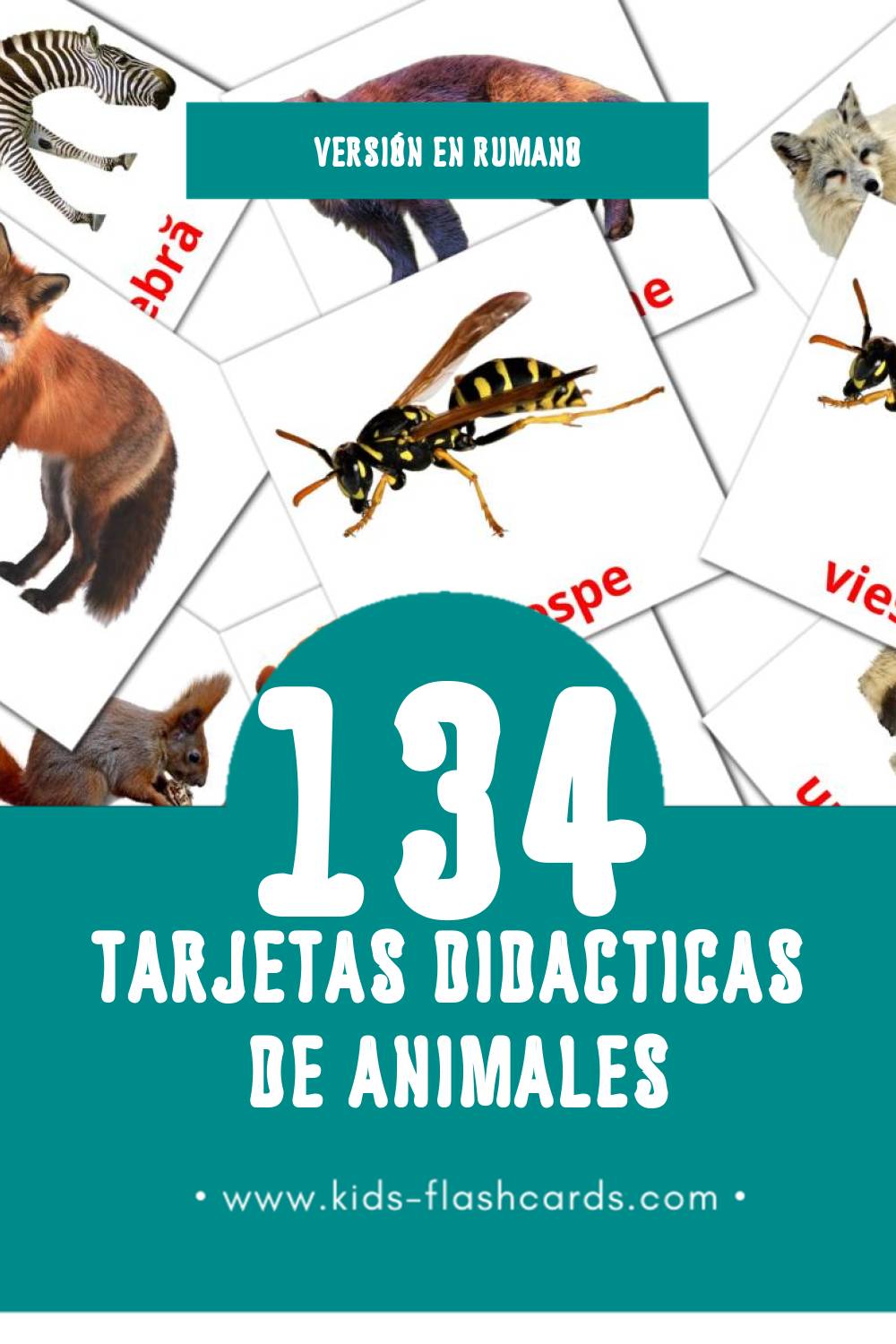 Tarjetas visuales de Animale para niños pequeños (134 tarjetas en Rumano)