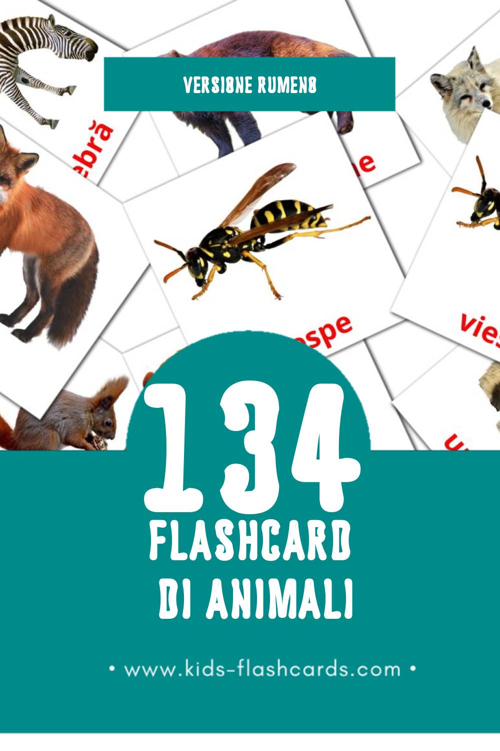 Schede visive sugli Animale per bambini (134 schede in Rumeno)