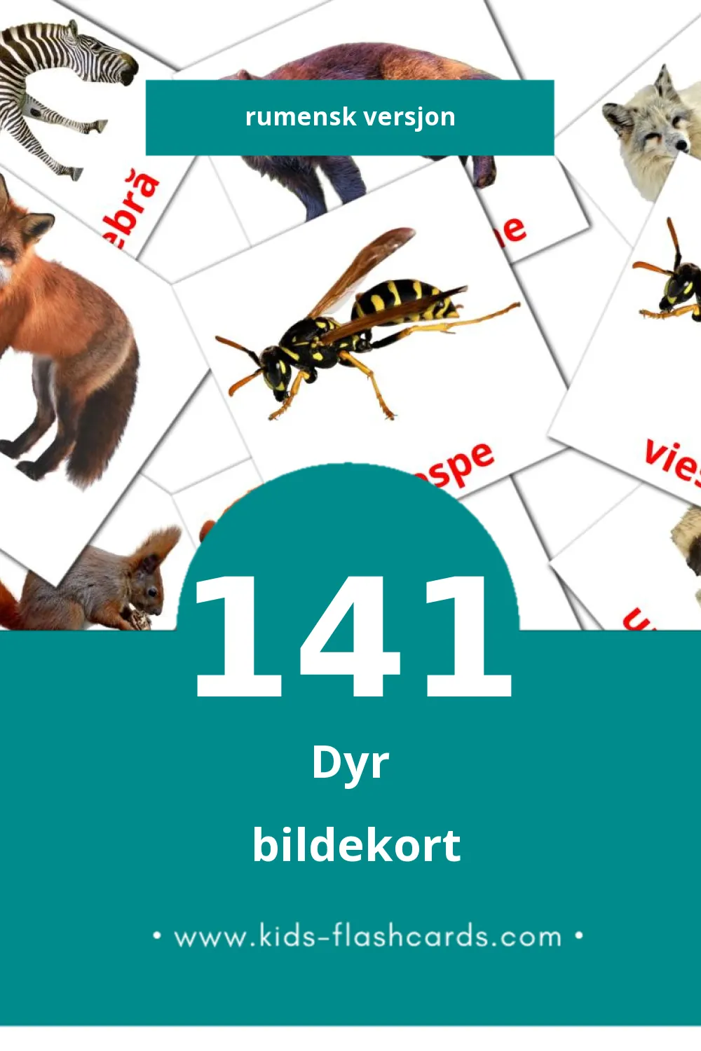 Visuelle Animale bildekort for småbarn (141 kort på Rumensk)