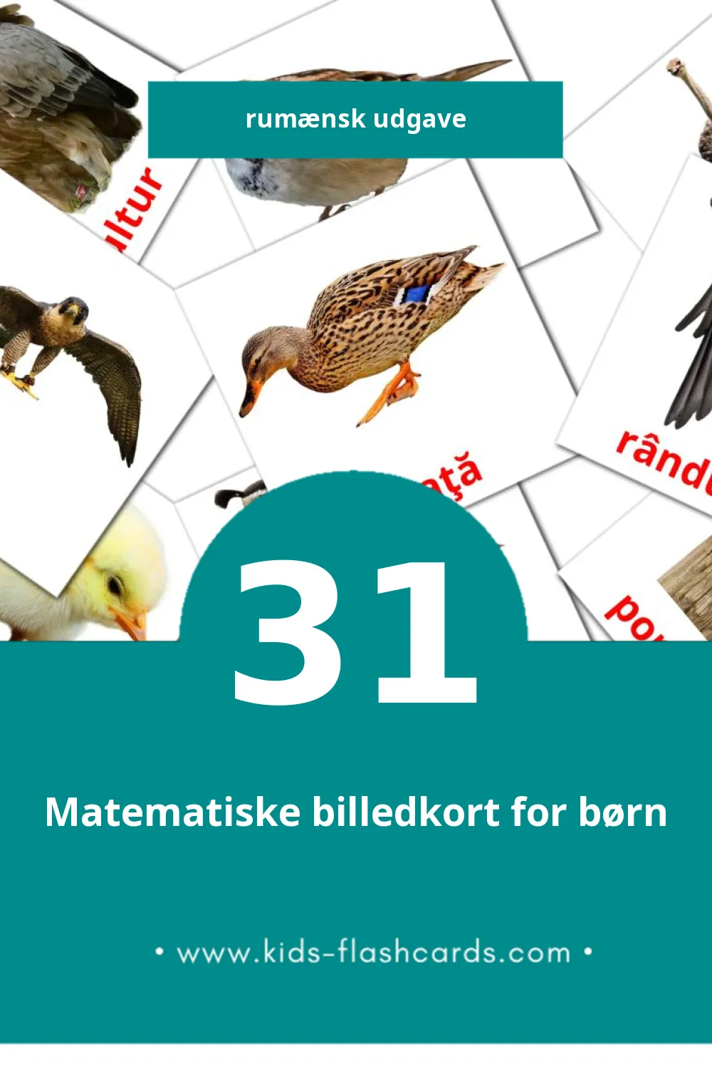 Visuelle billedkort for børn om Păsări til småbørn (31 kort på Rumænsk)