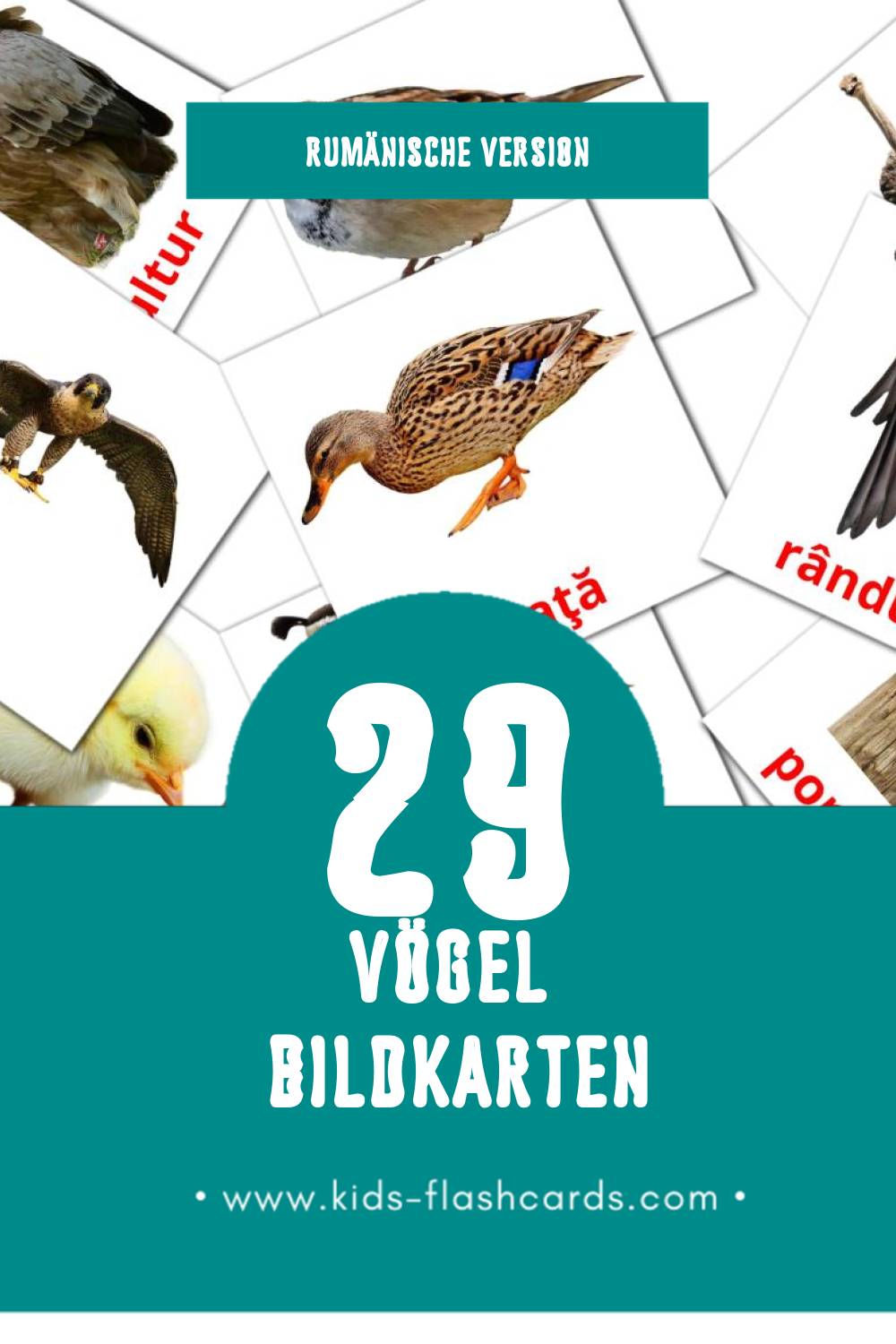 Visual Păsări Flashcards für Kleinkinder (29 Karten in Rumänisch)
