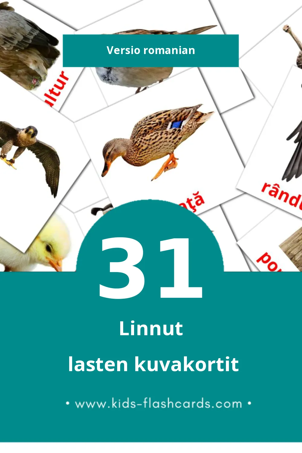 Păsări lasten kuvakortit pikkulapsille (31 korttia Romanianksi)