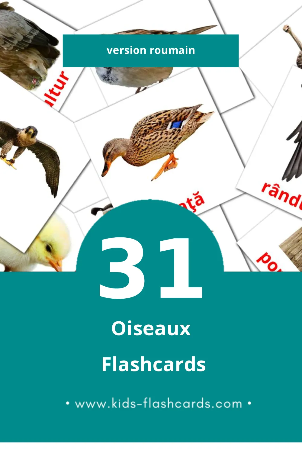 Flashcards Visual Păsări pour les tout-petits (31 cartes en Roumain)