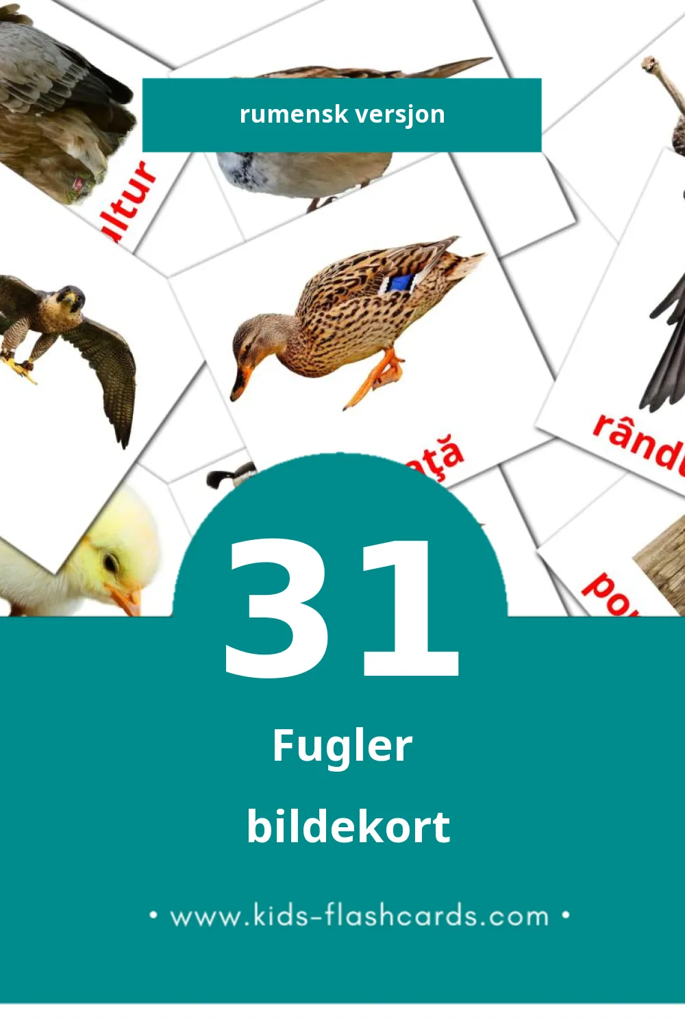 Visuelle Păsări bildekort for småbarn (31 kort på Rumensk)