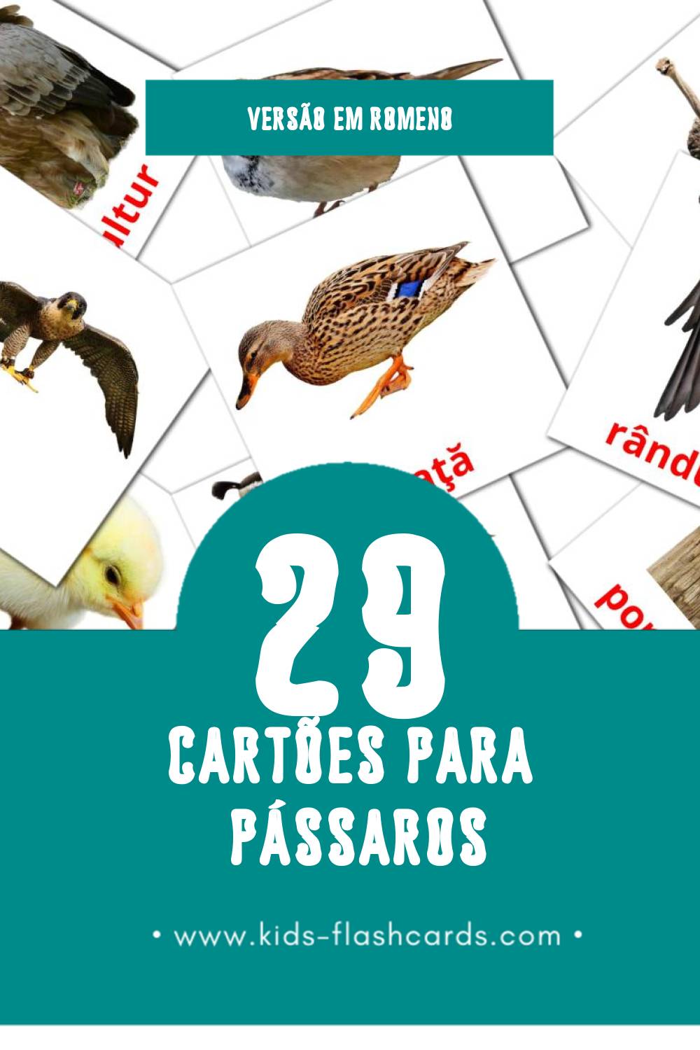 Flashcards de Păsări Visuais para Toddlers (29 cartões em Romeno)