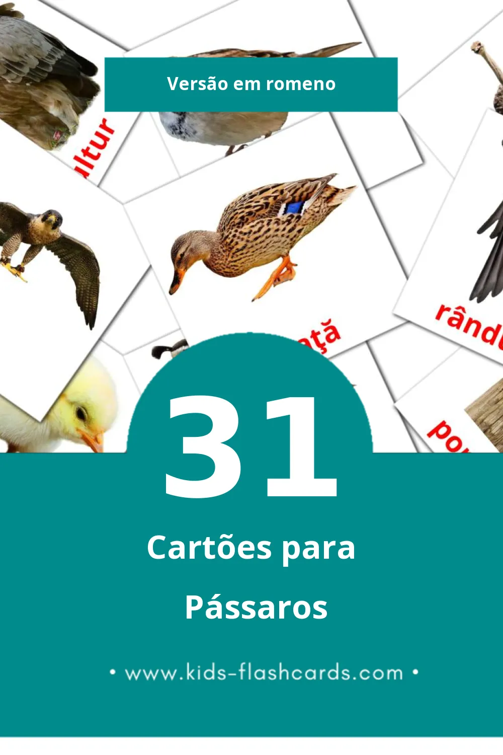 Flashcards de Păsări Visuais para Toddlers (31 cartões em Romeno)