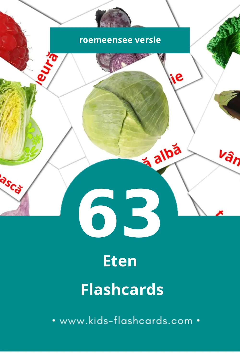 Visuele Alimente Flashcards voor Kleuters (63 kaarten in het Roemeense)