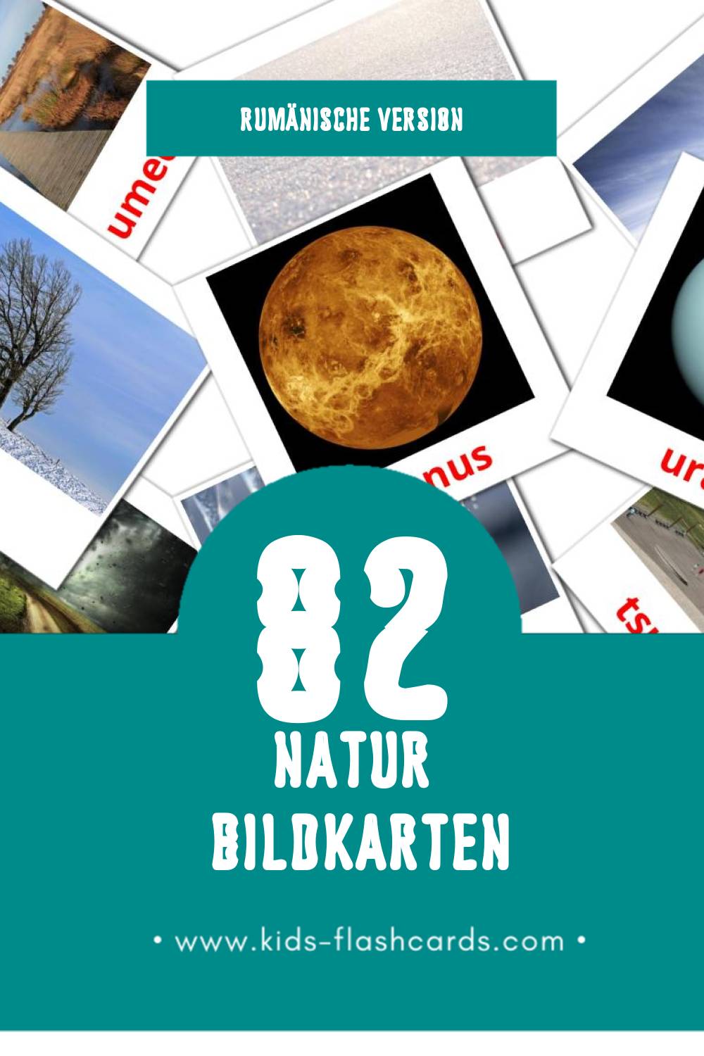 Visual Natura Flashcards für Kleinkinder (82 Karten in Rumänisch)