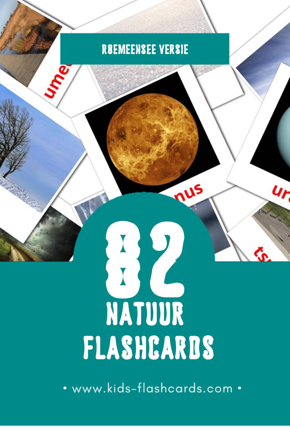 Visuele Natura Flashcards voor Kleuters (82 kaarten in het Roemeense)