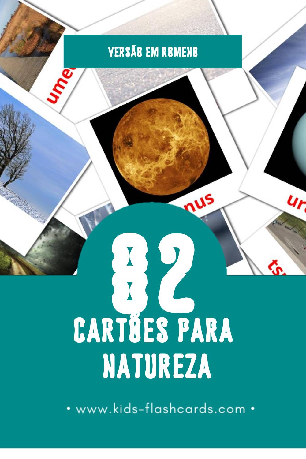Flashcards de Natura Visuais para Toddlers (82 cartões em Romeno)