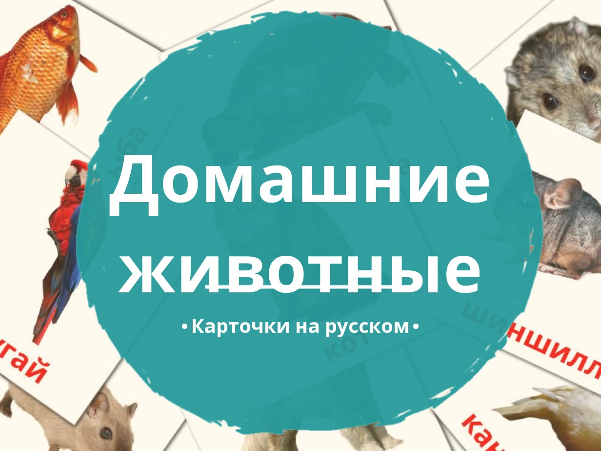 10 Бесплатных Карточек Домашние животные на Русском | PDF