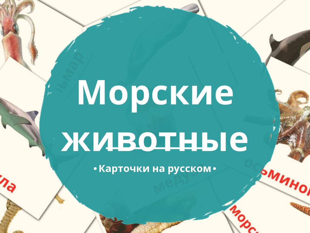 29 Бесплатных Карточек Морские животные на Русском | PDF