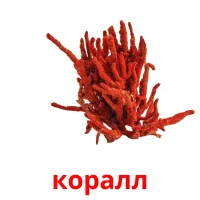 коралл карточки энциклопедических знаний