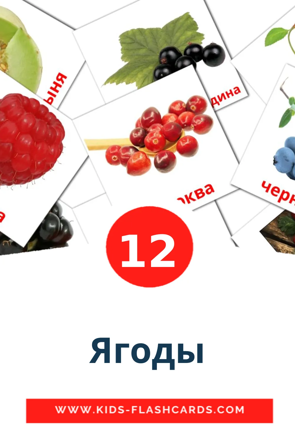 12 Ягоды Picture Cards for Kindergarden in russian