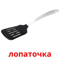 лопаточка карточки энциклопедических знаний