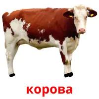 корова Bildkarteikarten