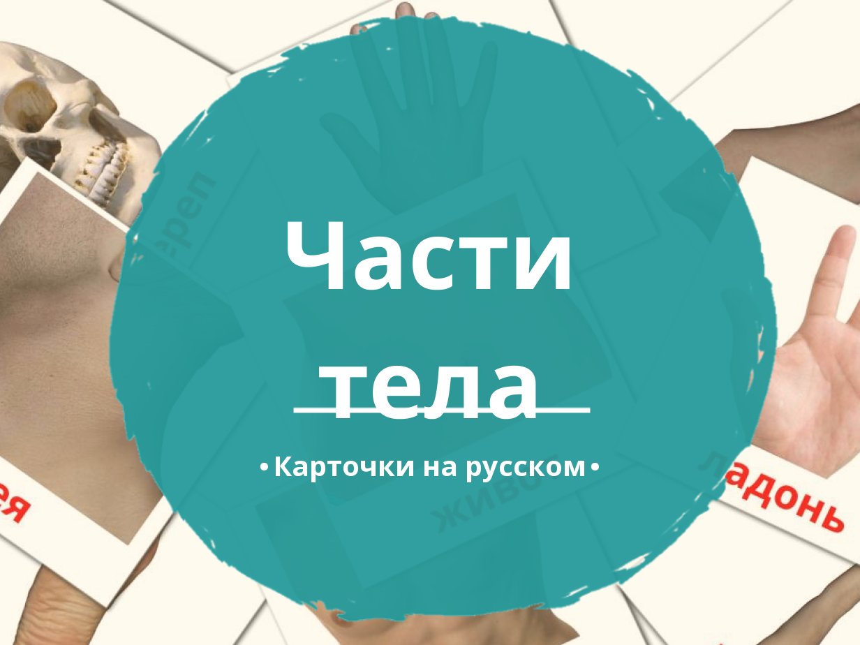 26 Бесплатных Карточек Части тела на Русском | PDF