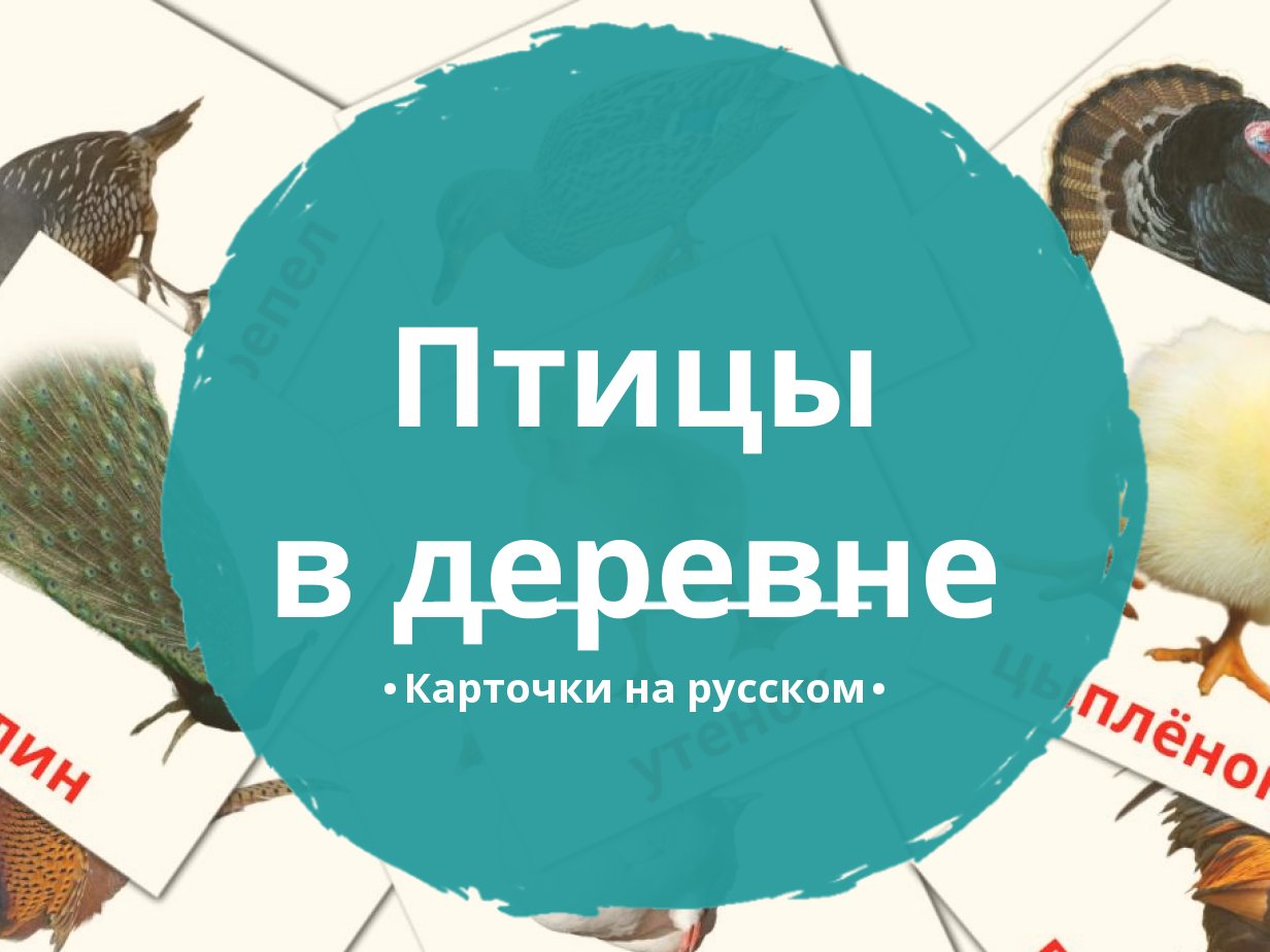 11 Бесплатных Карточек Птицы в деревне на Русском | PDF