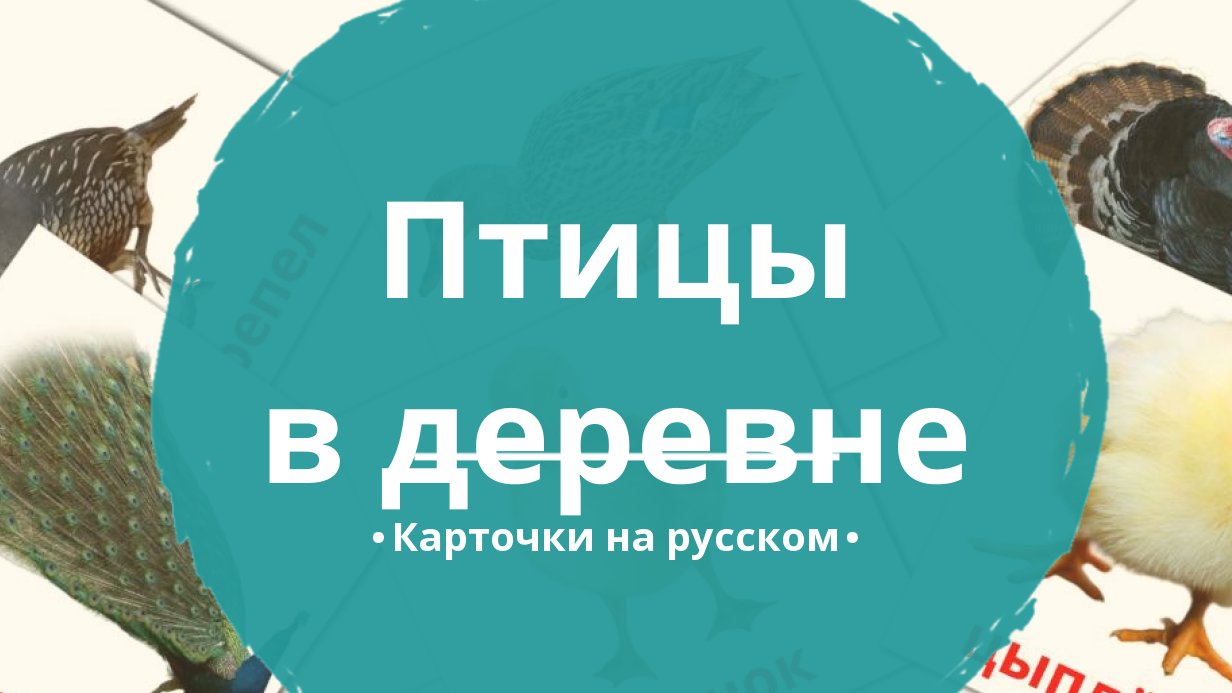 11 Бесплатных Карточек Птицы в деревне на Русском | PDF