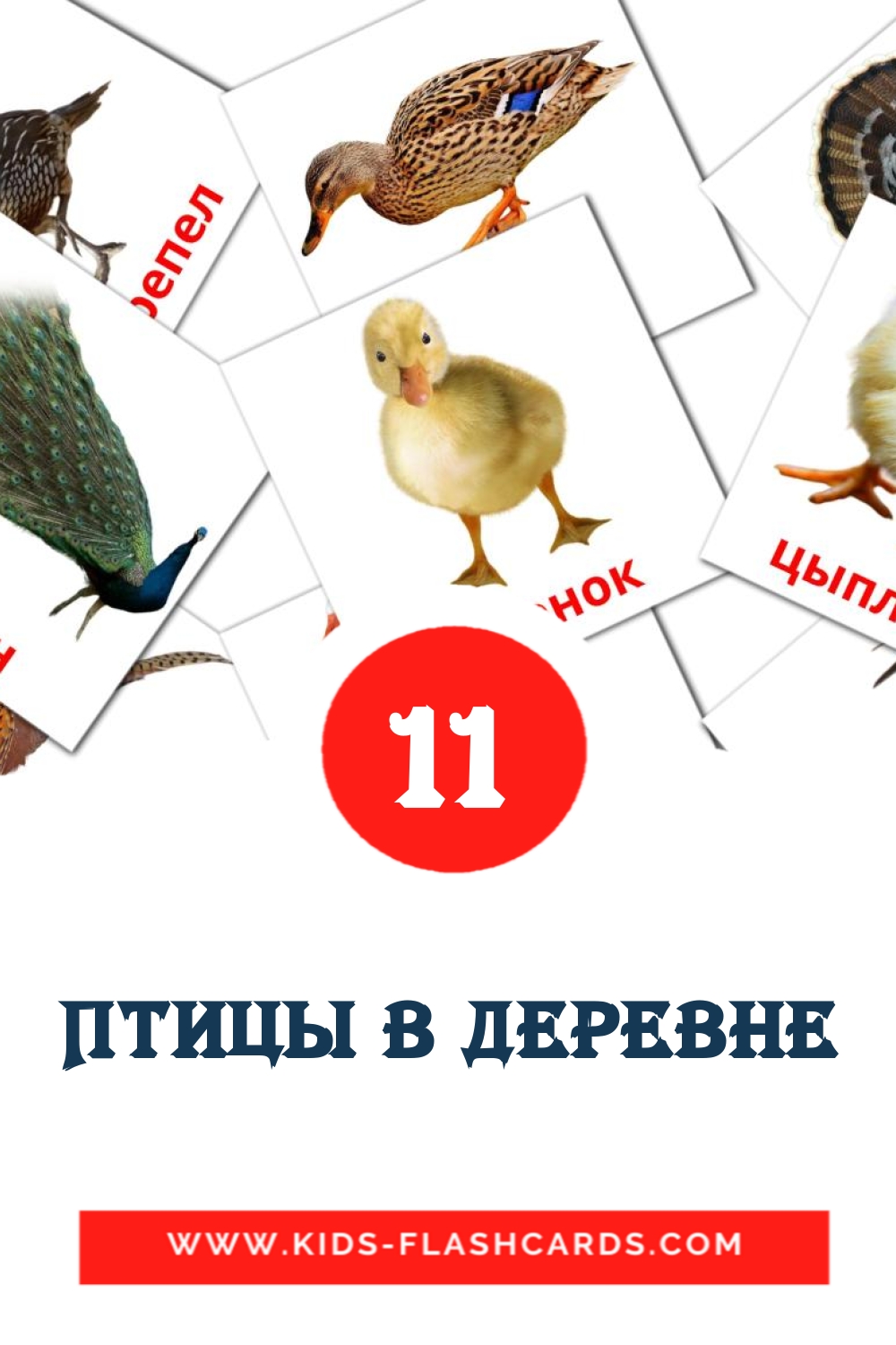Птицы в деревне на русском для Детского Сада (11 карточек)