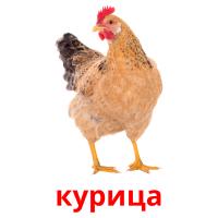 курица card for translate