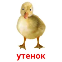 утенок карточки энциклопедических знаний