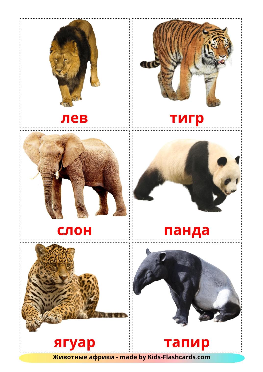 Jungle animals - 21 Free Printable russian Flashcards 