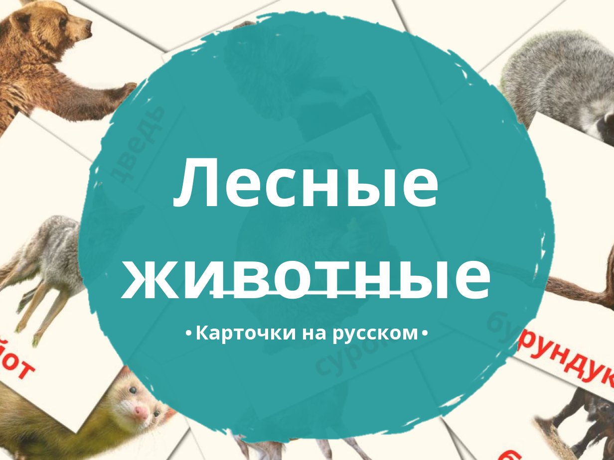 22 Бесплатные Карточки Лесные животные на Русском | PDF