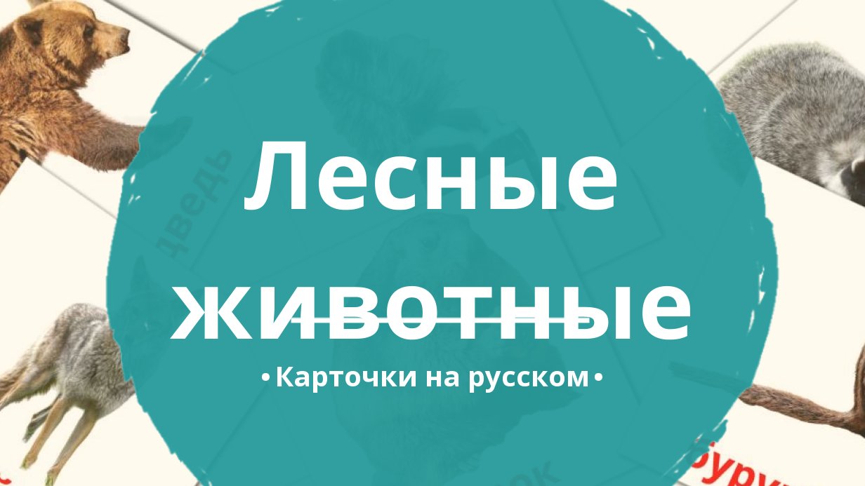 22 Бесплатные Карточки Лесные животные на Русском | PDF