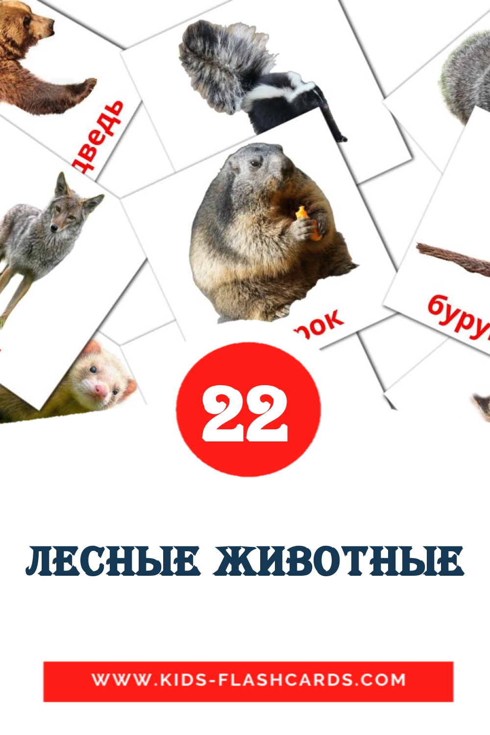 22 Лесные животные Picture Cards for Kindergarden in russian