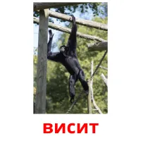 висит picture flashcards