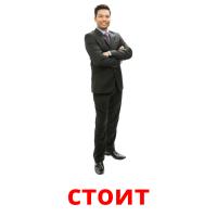 стоит picture flashcards
