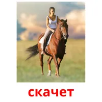 скачет picture flashcards