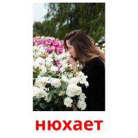 нюхает picture flashcards