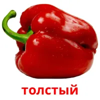 толстый карточки энциклопедических знаний