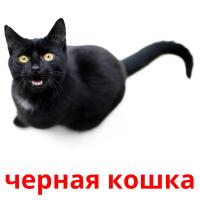 черная кошка Bildkarteikarten