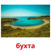 бухта card for translate