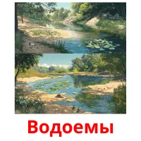 Водоемы карточки энциклопедических знаний